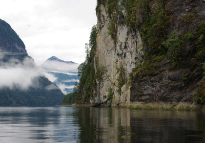 Marine Sightseeing Tours